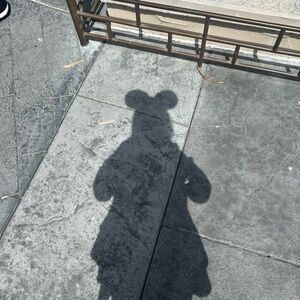 Meet your Posher, Mya